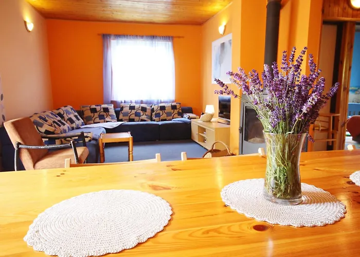 Dom Letniskowy Nela Rowy