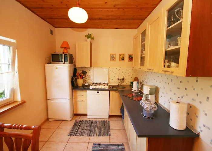 Dom wakacyjny Dom Letniskowy Nela Rowy